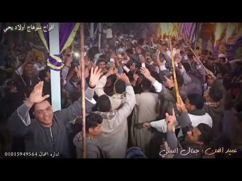 ياما الليالي الفنان جمال اليمني افراح سوهاج اولاد يحي فرحة العمده فيصل العسيري جمهور خيالي 