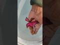 Fantastic 😊 Flying 🪽 Bird 🕊️ Drawing || Making On Hand 👏 || Float On Water 🌊🌊 #shorts #art