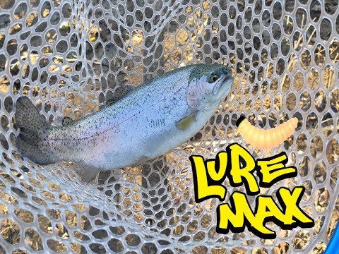 კალმახი ახალ სატყუარაზე LureMax Woodworm სპინინგით თევზაობა 2019