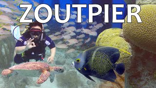 VAKANTIE BONAIRE #9🌴ZOUTPIER DUIKEN! 🤿 Scuba Diving | Deze mag je niet missen!!!