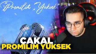 Eray / cakal - Promilim Yüksek Dinliyor Resimi