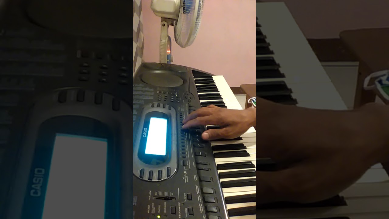 casio 300 ms