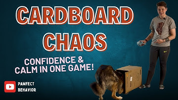 Cardboard Chaos: The Confidence-Boosting Game for Reactive Dogs!