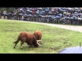 Chega de Bois - Feira da Ladra 2014