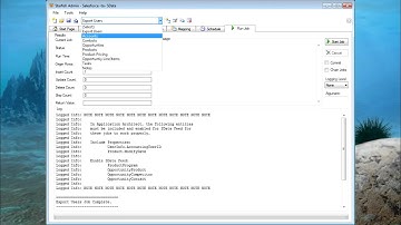 SalesForce to SalesLogix Migration