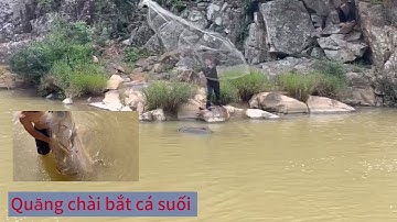 Quăng chài bắt cá suối #ôryvlog