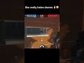 Best mozzie main #r6 #rainbowsix #r6siege #r6hub #siege #siegex #r6clips #funny