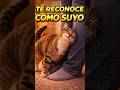 sabías la razón... porque tu gato te Sigue, incluso al baño? #secretosdelgato #cat #pets #mascotas