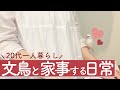 【20代一人暮らしの日常】文鳥とまったり家事をする平凡な日のvlog🕊❤︎