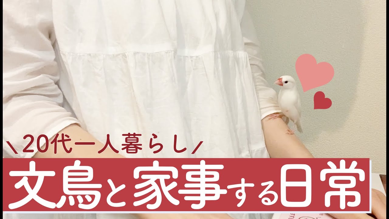 代一人暮らしの日常 文鳥とまったり家事をする平凡な日のvlog Youtube