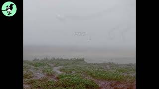 Download Lagu Mechpie - What Lurks Within【FOG】 MP3