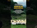 Mari Bersolawat Kepada Nya