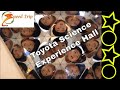 Let's go to Toyota Science Experience Hall とよた科学体験館 の基本情報 / Toyota…