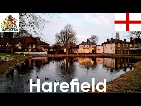 Harefield | Borough of Hillingdon | London | England | UK | Europe | 30/01/2022 | Walk