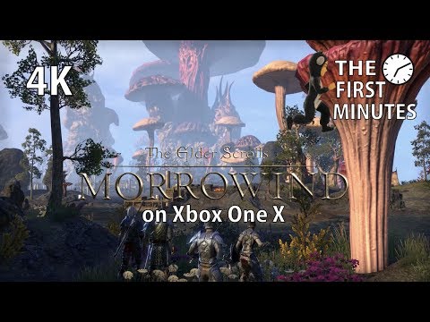 Video: Morrowind På Xbox One X: Det Langsomste Konsolespil Til Elder Scrolls Er Nu Det Hurtigste