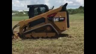 Cat 299 D2 brush cutting 3 acres with Diamond mower