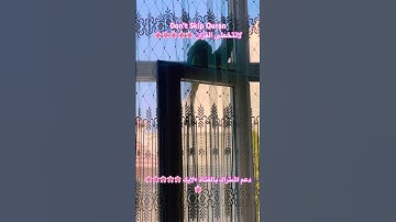 تلاوه عطره من الذكر الكريم #birds #cutebird #اكسبلور #foryou