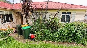 Epic Yard Cleanup Operation SAVES Single Mom