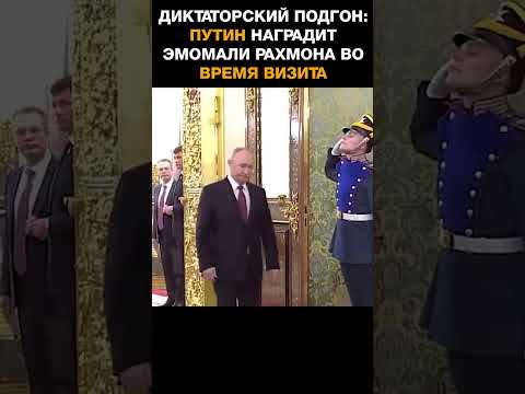Диктаторский подгон: Путин наградит Эмомали Рахмона во время визита в Москву