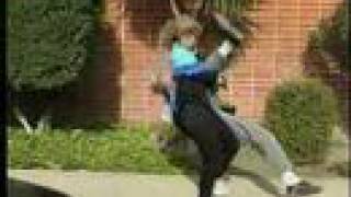 Hung Gar Self Defense Lesson 2