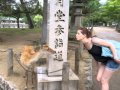 Vacances de marion et de camille au japon