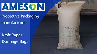 The ultimate container brace: Ameson Kraft Paper Dunnage Bags for heavy-duty load securing