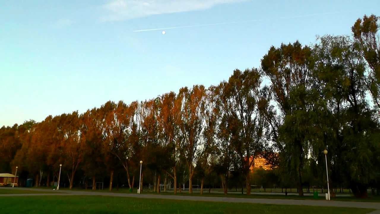 V929 на улице v1