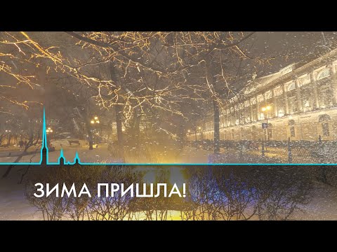 Видео: Приметы зимнего Санкт-Петербурга