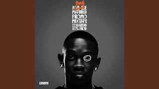 FORTHEMATUREDPROMOMIXTAPE22YEAR100%PROD