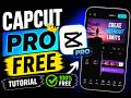 CAPCUT PRO free (PC only)
