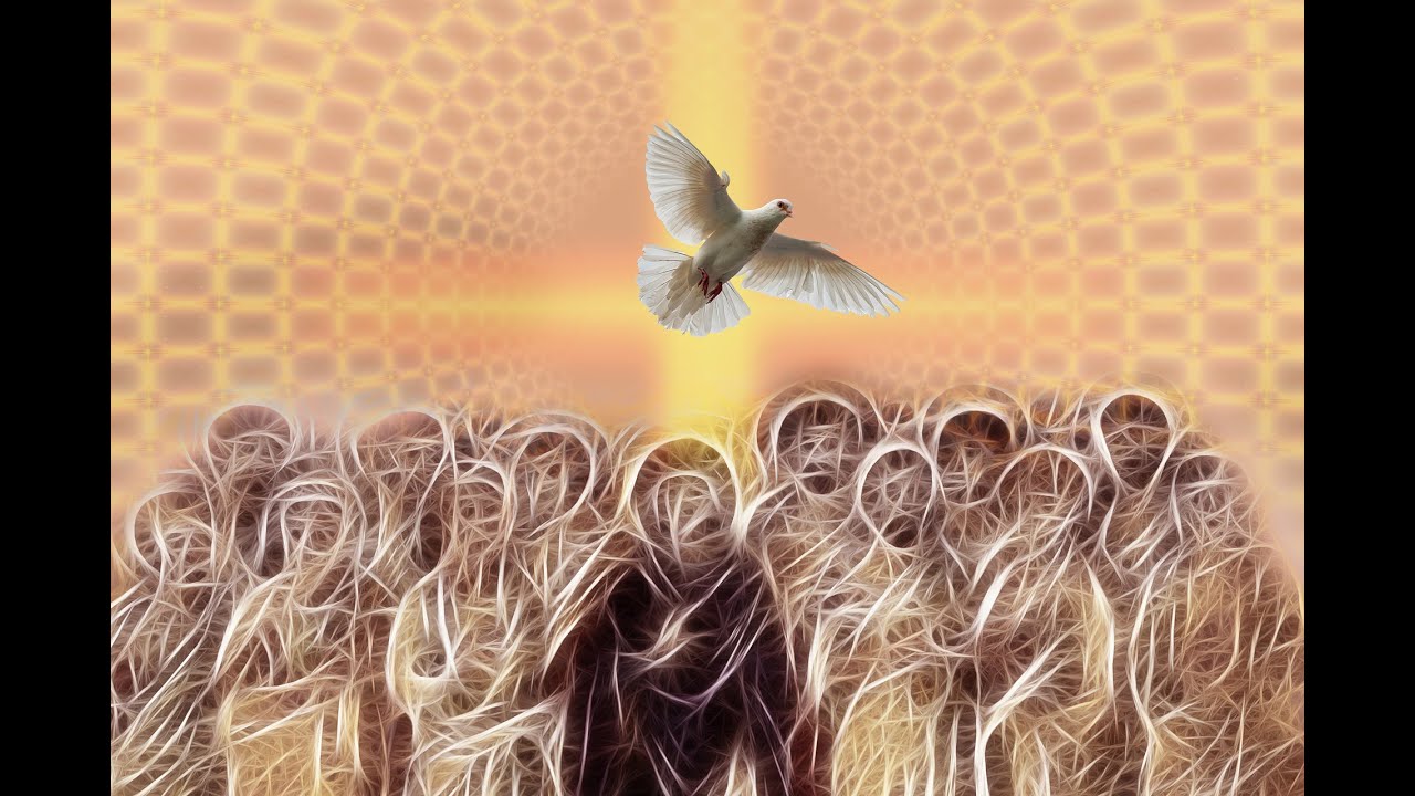 천주교 신자인데... 성령... 너무 낯설고 어려워요. -최황진 라파엘 신부- 천주교 / 가톨릭 / 신부님 강론 강의