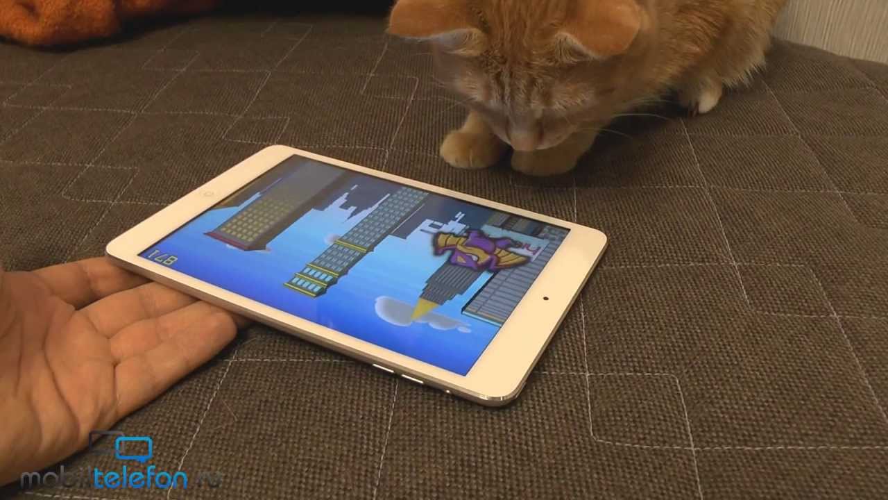 Игры для кошек на iPad: Game for Cats, Paint for Cats и Catzilla - YouTube