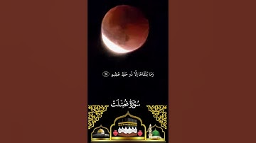 قران كريم تخشع له القلوب #قرآن #اكسبلور #المصحف#المغرب #الجزائر #اليمن #quran