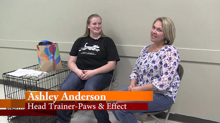 Cathy's Corner Visits Paws & Effect