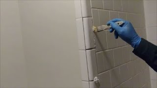 How To Install Bull Nose Trim Tiles On Outside Corner Of Shower Wall  Step By Step