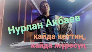 Нурлан Акбаев агамдан мыкты чыгарма - Кайда кеттиң, кайда жүрөсүң