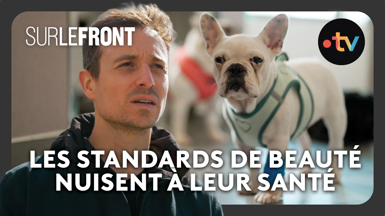 Pourquoi les bouledogues français ronflent-ils ? - Sur le front avec Hugo Clément
