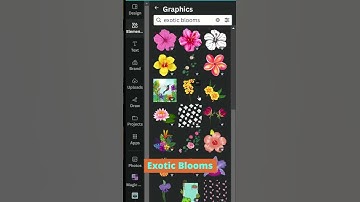 Keywords for canva Element #shorts #canva #design #trending #viral