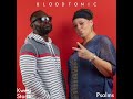 Kwesi Stone ft Psalms_Blood Tonic_Produced by Mike Music