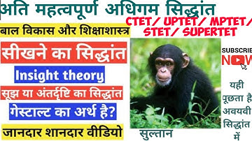 #Learning #कोहलर का सूझ एवम अंतर्दृष्टि का सिद्धान्त #INSIGHT THEORY KOHLAR THEORY TET CTET EXAM
