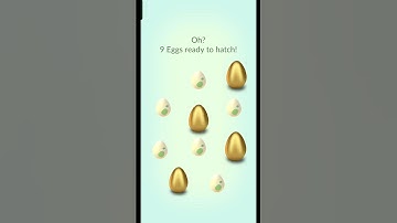 Shiny hatch day... #shorts #hatch #shiny #hatch #special #event #Pokémon #gotcha #ultragoo #golden