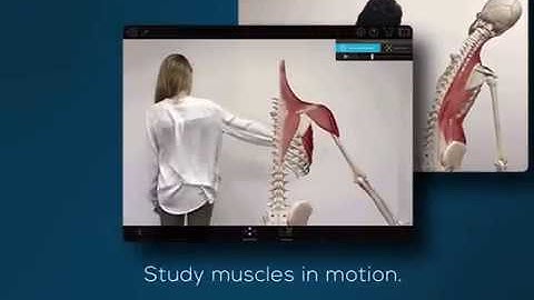 Visible Body | Using Augmented Reality in Human Anatomy Atlas