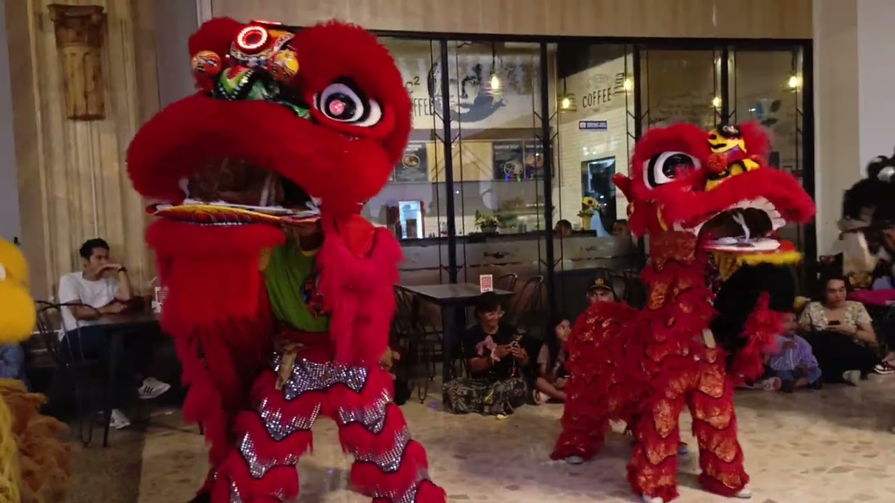 Atraksi Mantap!! Naga Liong Barongsai Imlek 2026 Sleman City Hall Yogyakarta