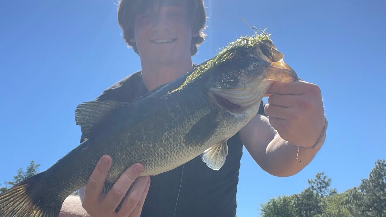 Pond hopping at retired golf course for Big Bass!!