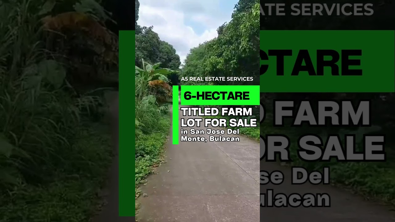 6-Hectare Titled Farm Lot for Sale in San Jose Del Monte, Bulacan 