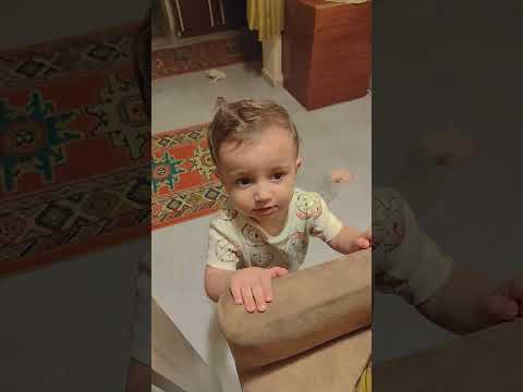 الصوص المدمر تالاونايا 