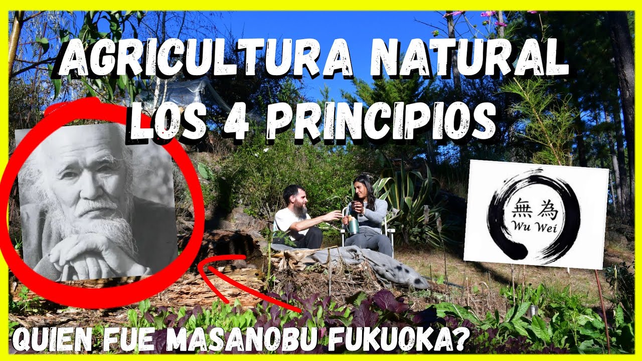 4 PRINCIPIOS de la AGRICULTURA NATURAL | Quien fue Masanobu Fukuoka?