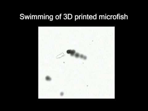 Swimming of 3D printed microfish