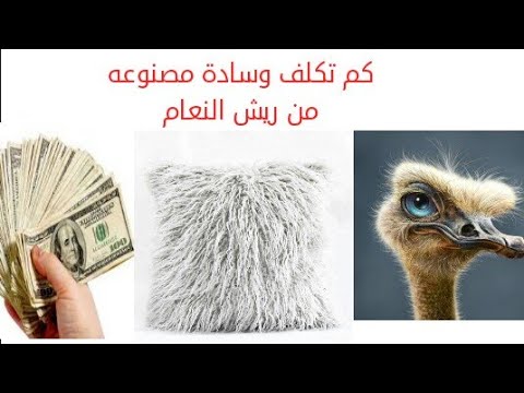 كم تكلف وسادة مصنوعة من ريش النعام