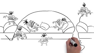 Adventures of a RealTime Lab Certified Mycotoxin Inspector